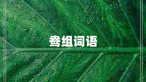 鴦組詞語