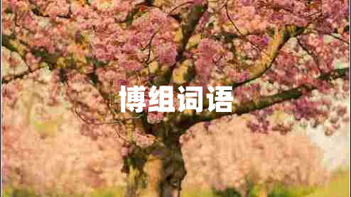 博組詞語