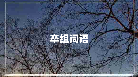 卒組詞語