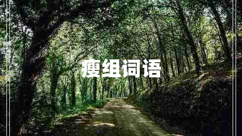 瘦組詞語