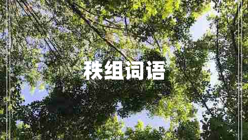 秩組詞語
