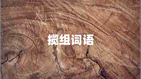 攬組詞語