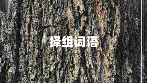 擇組詞語(yǔ)