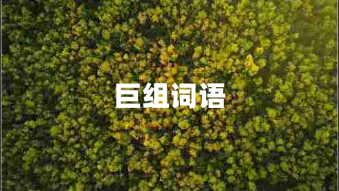 巨組詞語