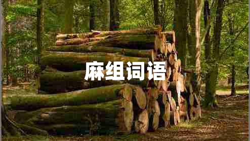 麻組詞語