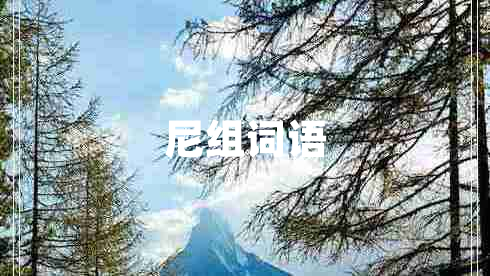 尼組詞語