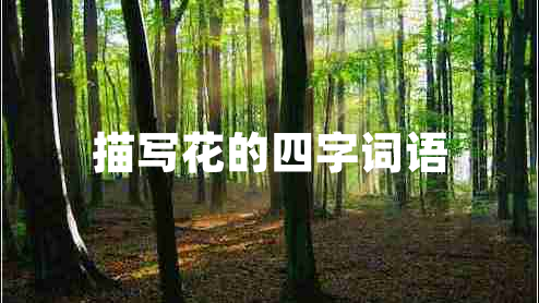 描寫花的四字詞語