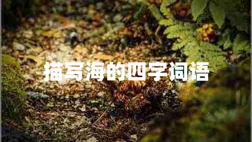 描寫海的四字詞語(yǔ)