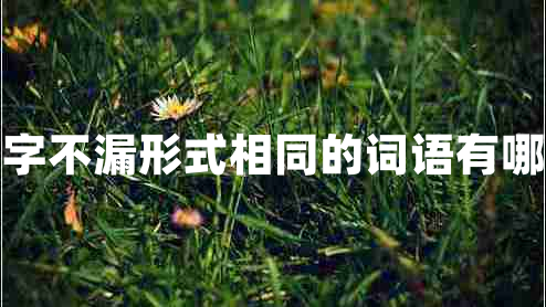 一字不漏形式相同的詞語有哪些