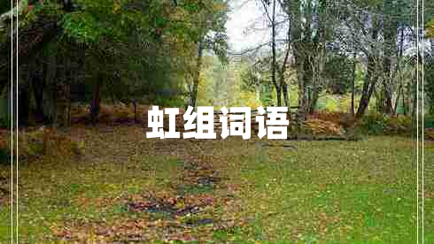 虹組詞語