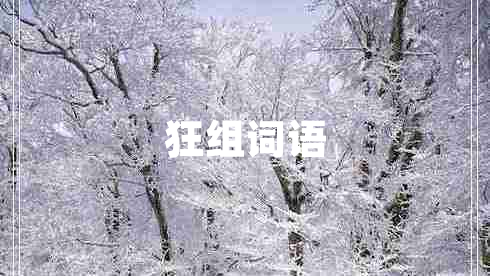 狂組詞語