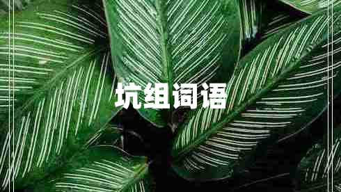 坑組詞語