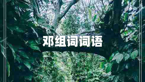 鄧組詞詞語