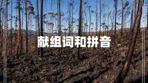 獻(xiàn)組詞和拼音