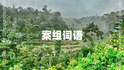案組詞語