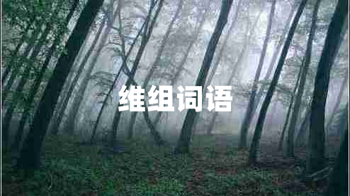 維組詞語
