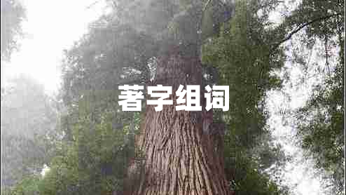 著字組詞