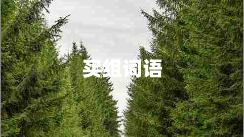 買組詞語(yǔ)