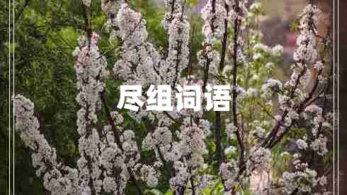 盡組詞語