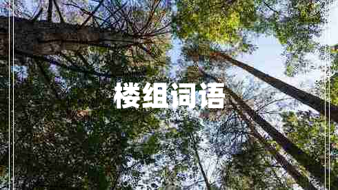樓組詞語