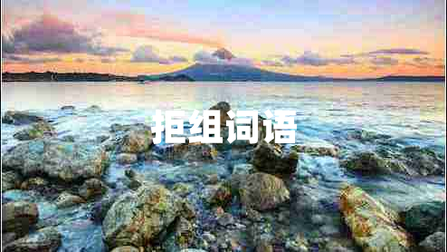 拒組詞語