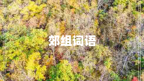 郊組詞語