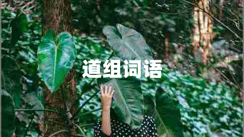 道組詞語