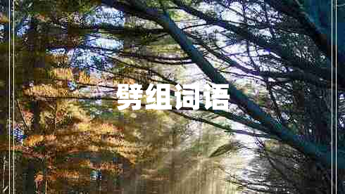 劈組詞語