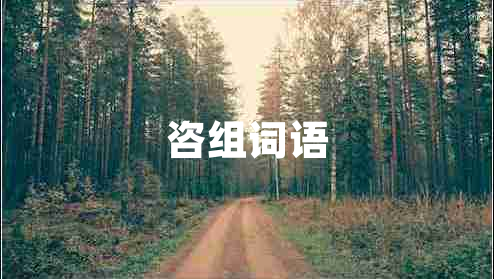 咨組詞語