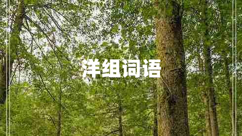 洋組詞語