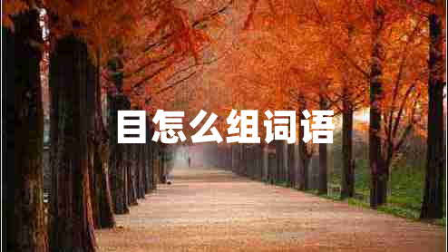 目怎么組詞語