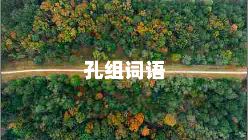 孔組詞語