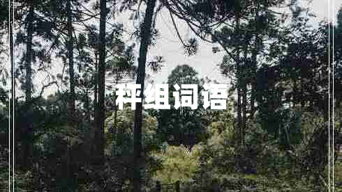 秤組詞語