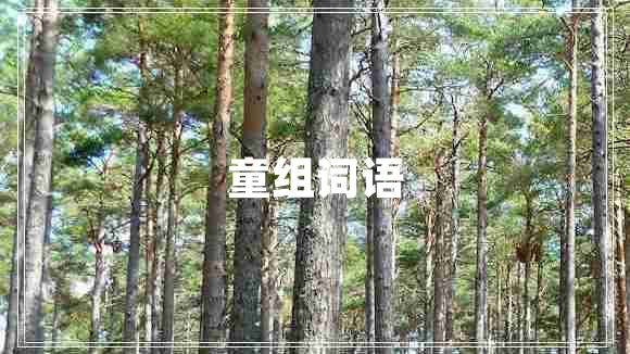 童組詞語