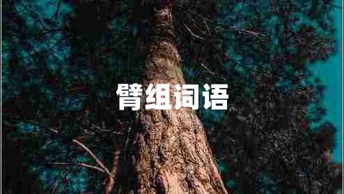 臂組詞語