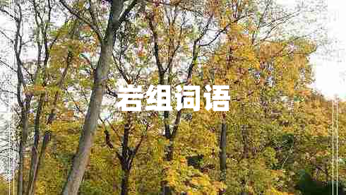 巖組詞語