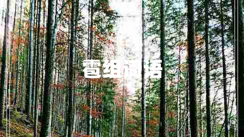雹組詞語