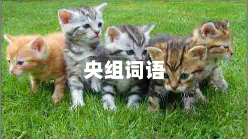 央組詞語