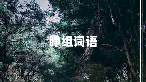 睜組詞語