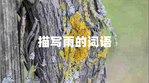 描寫雨的詞語