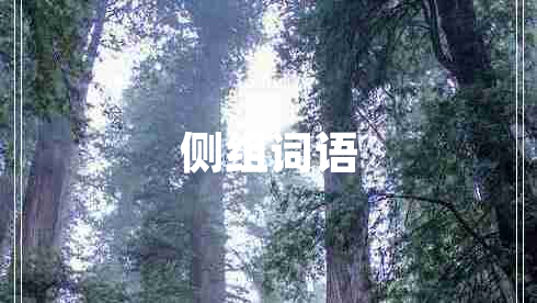 側(cè)組詞語