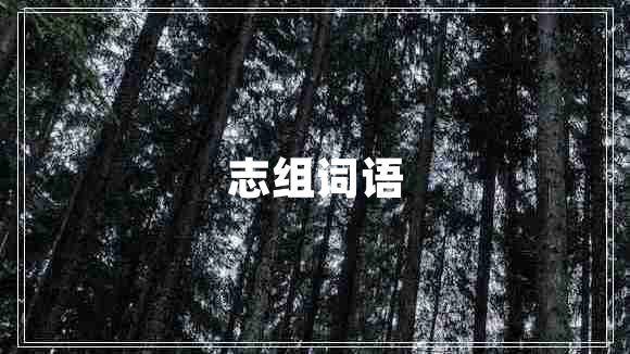 志組詞語