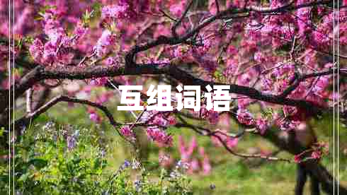互組詞語
