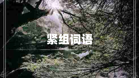 緊組詞語