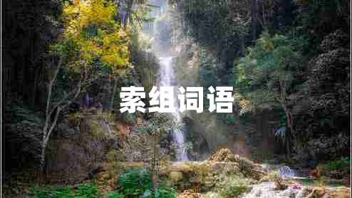 索組詞語