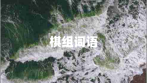 棋組詞語
