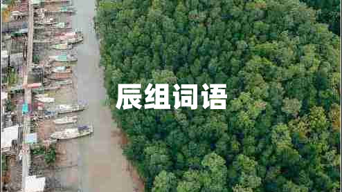辰組詞語