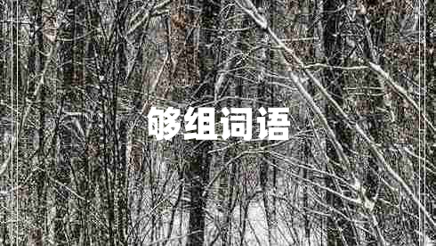 夠組詞語
