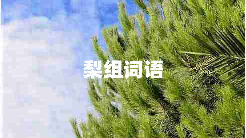 梨組詞語
