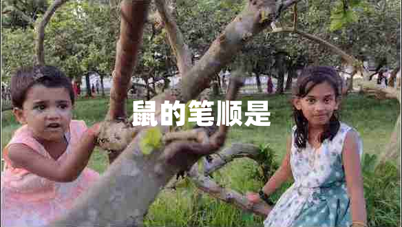 鼠的筆順是